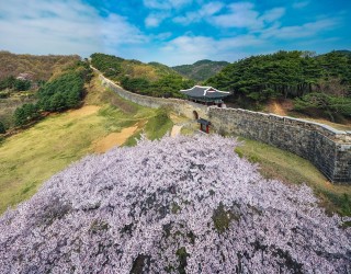 상당산성의 봄